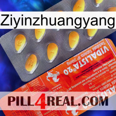 Ziyinzhuangyang new01